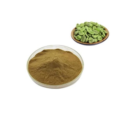 Extracto de frijoles de café verde en polvo